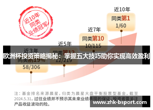 欧洲杯投资策略揭秘：掌握五大技巧助你实现高效盈利