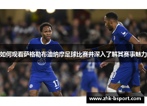 如何观看萨格勒布迪纳摩足球比赛并深入了解其赛事魅力 如何观看萨格勒布迪纳摩足球比赛并深入了解其赛事魅力