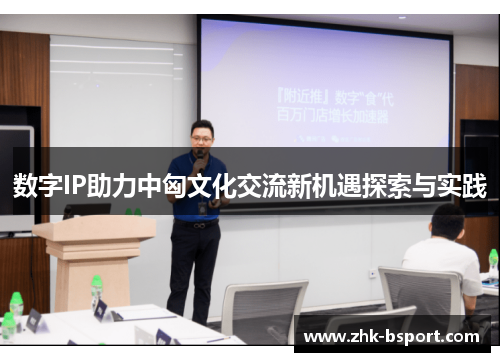 数字IP助力中匈文化交流新机遇探索与实践