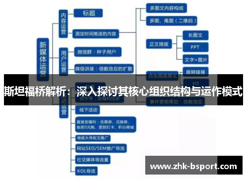 斯坦福桥解析:深入探讨其核心组织结构与运作模式 斯坦福桥解析:深入探讨其核心组织结构与运作模式