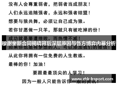 穆谢奎新合同揭晓背后深层原因与各方博弈内幕分析